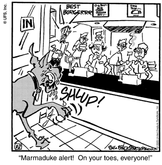 marmaduke